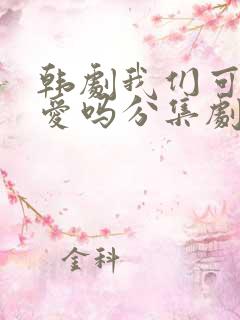 韩剧我们可以相爱吗分集剧情介绍