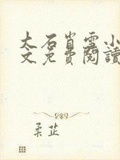 大石肖雪小说全文免费阅读