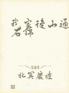 我家后山通仙界石锦