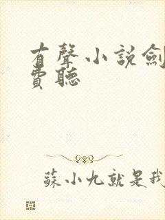 有声小说剑来免费听