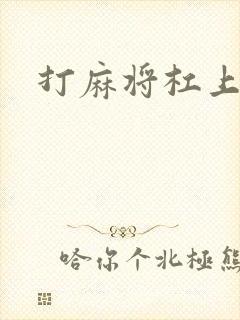 打麻将杠上开花