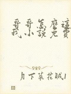 哥哥怎么这样看我小说免费阅读无弹窗