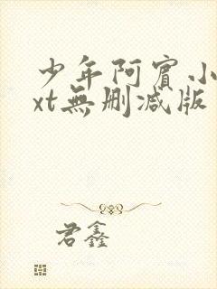 少年阿宾小说txt无删减版