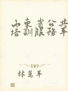 山东省公共驾驶培训服务平台