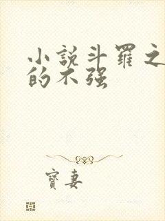 小说斗罗之我真的不强