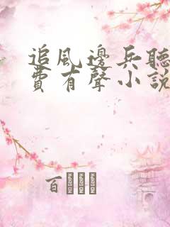 追风边兵听书免费有声小说