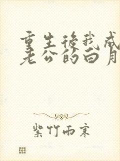 重生后我成了渣老公的白月光小说