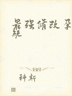 最强修改孕妇系统