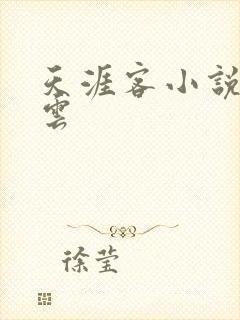 天涯客小说百度云