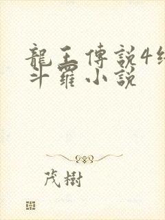 龙王传说4终极斗罗小说