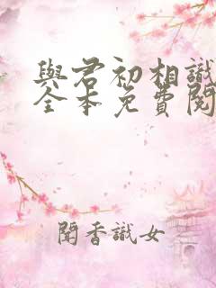 与君初相识小说全本免费阅读笔趣阁