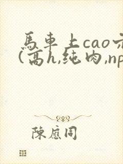 马车上cao穴(高h,纯肉,np)