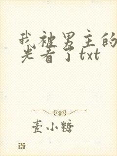 我被男主的白月光看了txt