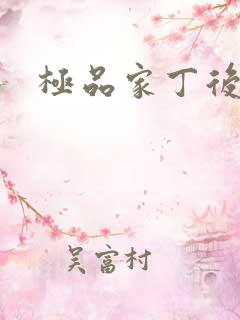 极品家丁后传
