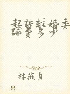 起诉离婚委托律师费多少