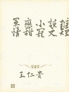 军恋小说推荐言情甜宠文短篇