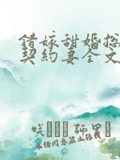 错嫁甜婚总裁的契约妻全文