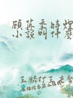 顾苒季时煜电竞小说叫什么名字