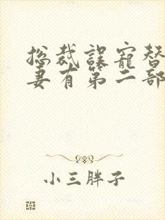 总裁误宠替身甜妻有第二部