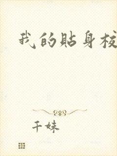 我的贴身校花