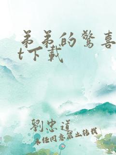 弟弟的惊喜txt下载