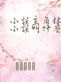 小说主角林辰的小说叫什么