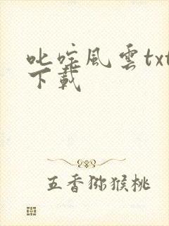 叱咤风云txt下载