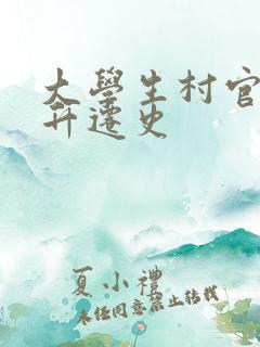 大学生村官艳遇升迁史