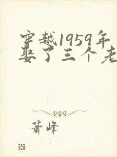 穿越1959年娶了三个老婆的小说