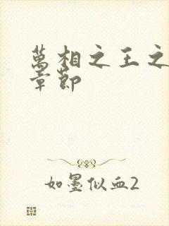 万相之王之最新章节