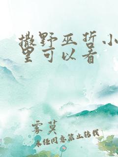 撒野巫哲小说那里可以看