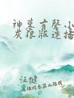 神墓有声小说大灰狼版连播