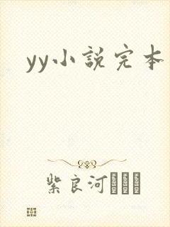 yy小说完本