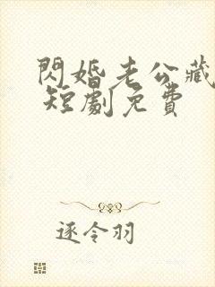 闪婚老公藏不住 短剧免费