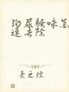 狗尿骚味怎么快速去除