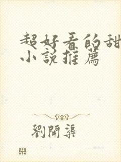 超好看的甜宠文小说推荐