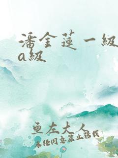 潘金莲一级淫片a级