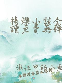 杨烁小说全文阅读免费无弹窗