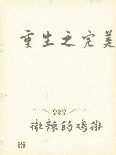 重生之完美一生