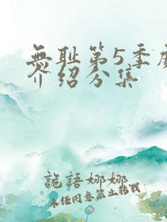 无耻第5季剧情介绍分集