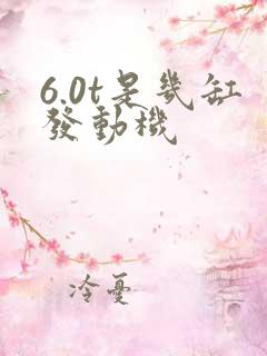 6.0t是几缸发动机