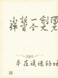 小说一剑独尊无弹窗全文免费阅读