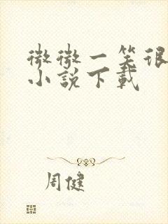 微微一笑很倾城小说下载