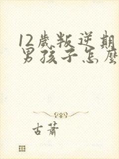 12岁叛逆期的男孩子怎么去引导