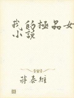 我的极品女老师小说