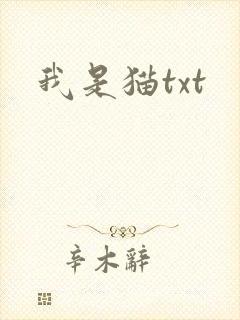我是猫txt
