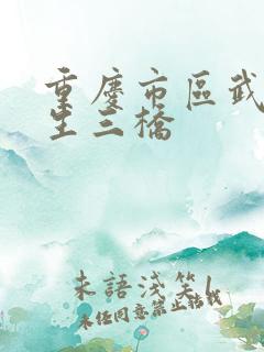 重庆市区武隆天生三桥