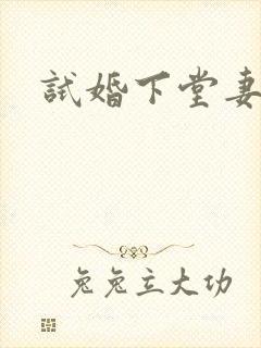 试婚下堂妻