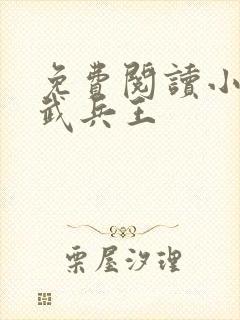 免费阅读小说医武兵王