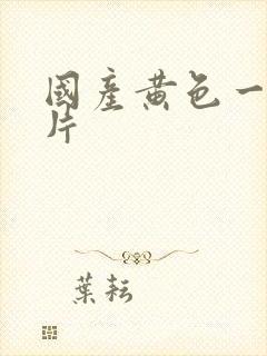 国产黄色一级大片